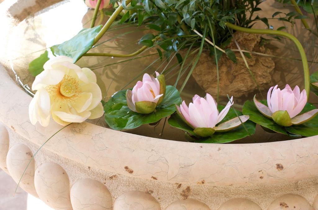 Baglio San Vincenzo Hotel Menfi Ngoại thất bức ảnh